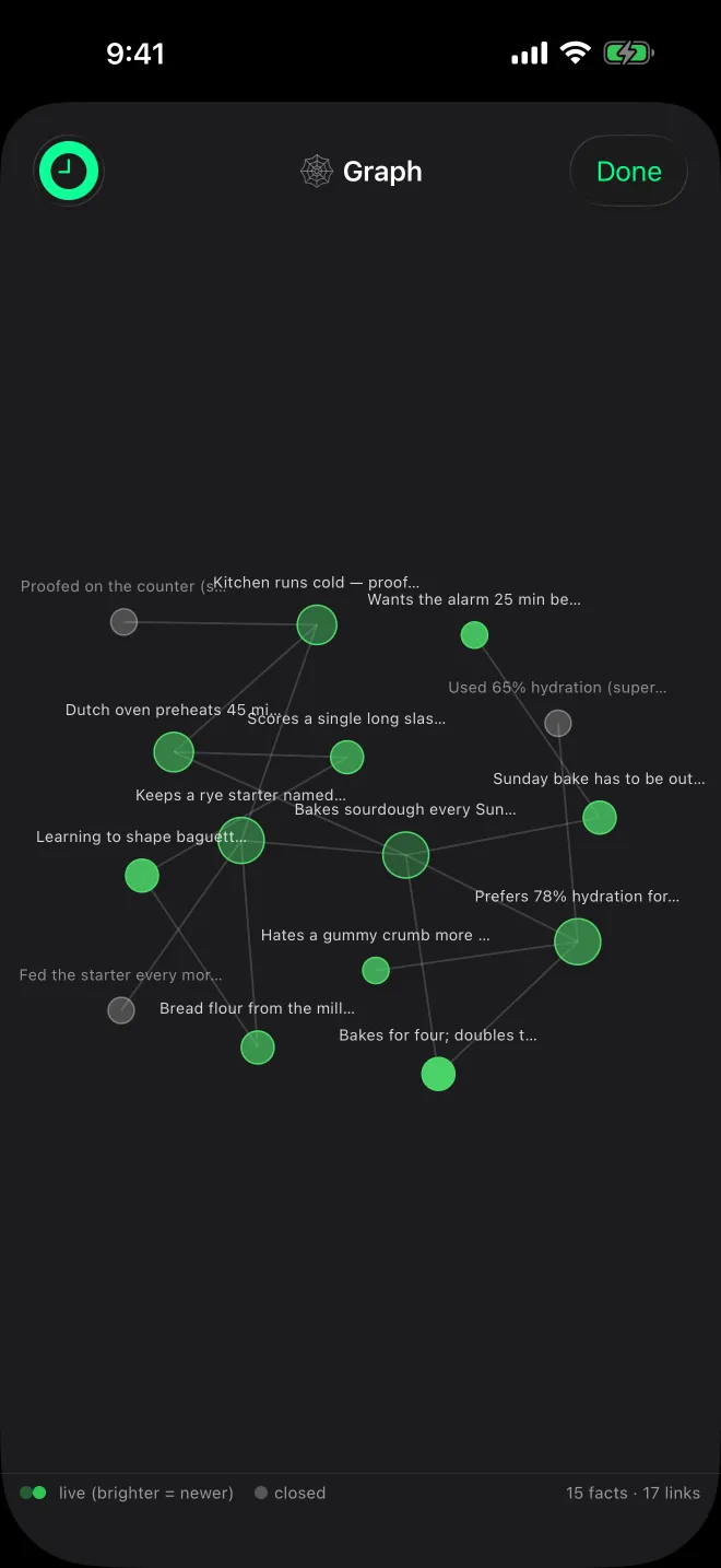 The memory graph on an iPhone: linked facts drawn as glowing nodes, 15 facts and 17 links.