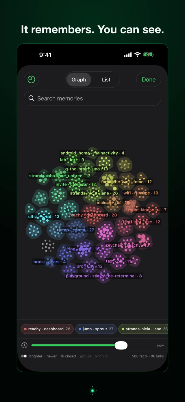 tiny on iPhone: the memory graph, clusters of linked facts in colour