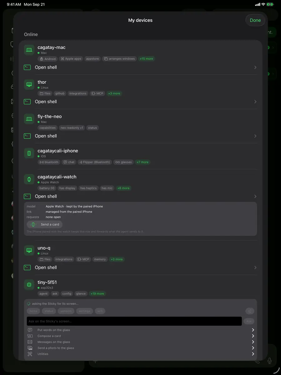 iPad — the fleet
